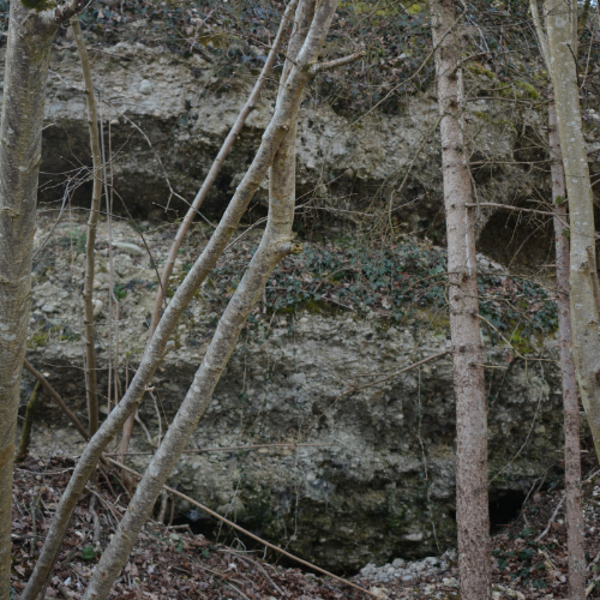 Heidewald Schieferegg - Umweltarbeit in der Diözese Linz