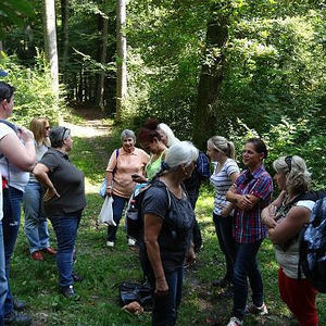 Naturerlebnisweg Pfarrwald Vöcklabruck