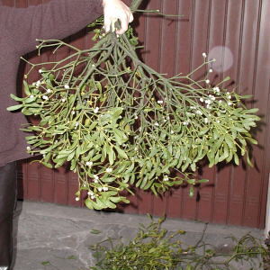 Weihnachtsmarkt 2006