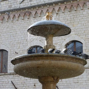 Pilgerfahrt nach Assisi vom 17. - 21. Februar 2014