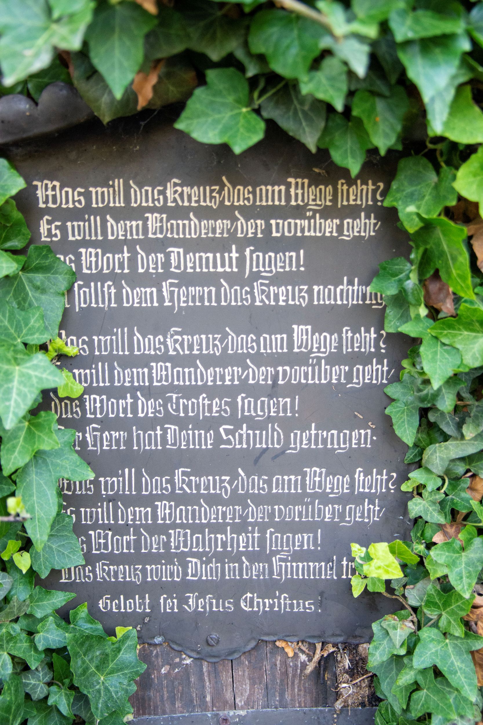 Maiandacht Jubiläumskreuz / © Pfarrgemeinde Schönering