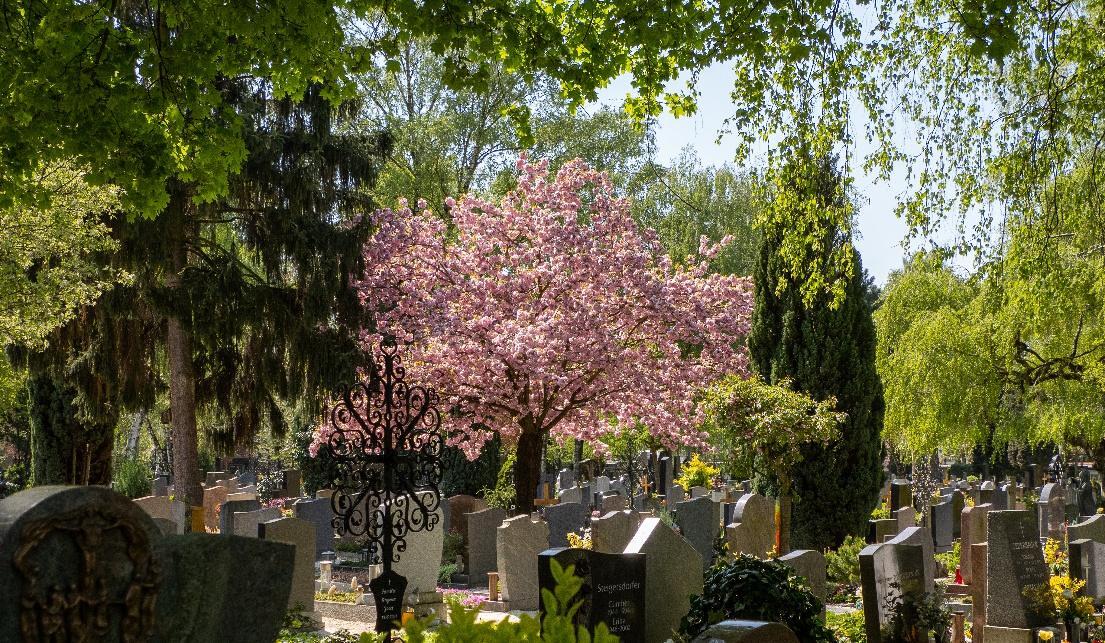 Barbarafriedhof Linz