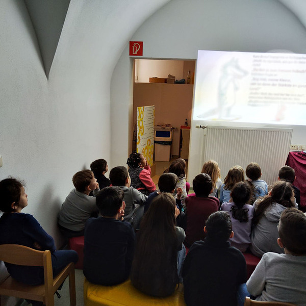 © Stadtbibliothek Steyr