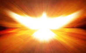 16396265 - shining dove with rays on a dark golden background