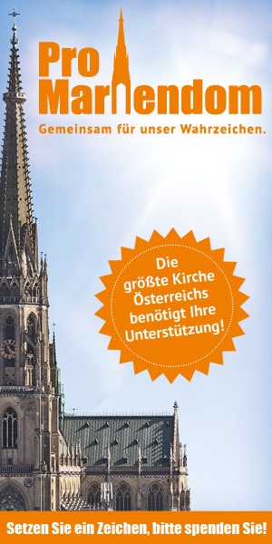 Bausteinschnapsen 'Pro Mariendom'