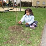 Arbeiten am Familienspielplatz