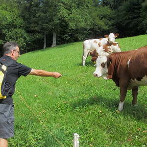 'Rund um den Wachtberg'