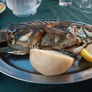 Ökumenische Reise ins Hl. Land