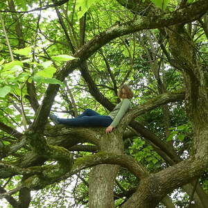 Und ein Baum wird erklettert...