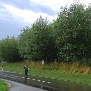 Sternwanderung 2017, Pfarre Neumarkt im Mühlkreis