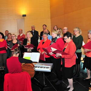 Fest des Hl. Franz von Assisi