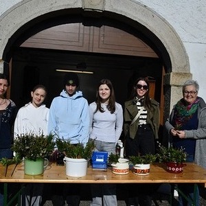 Firmlinge verkaufen Palmbuschen