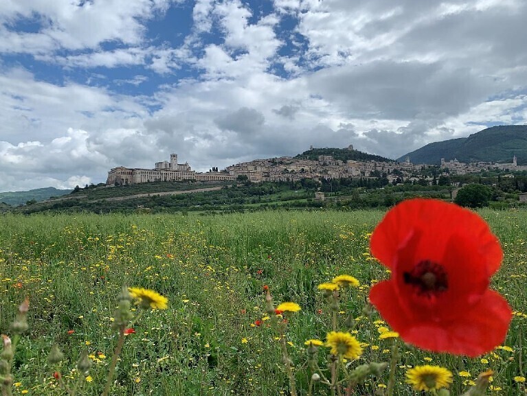 Pilgerreise nach Assisi