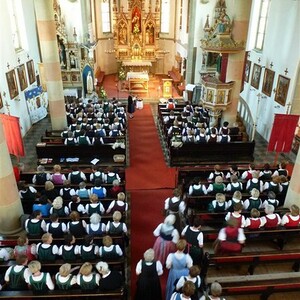 Bezirksgoldhaubentreffen 2013 