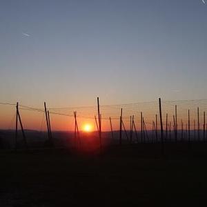 Wallfahrt Maria Bründl