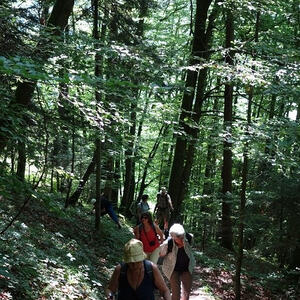 Fußwallfahrt 2017 in und um Bad Ischl