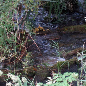 Pfarr- und Bildungsreise