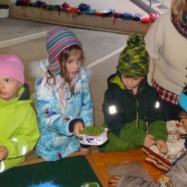 Markttag im Kindergarten                               