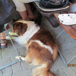 Familienwanderung der KMB