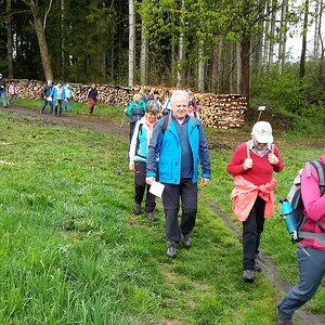 Fußwallfahrt nach Maria Trost, Pfarre Sarleinsbach