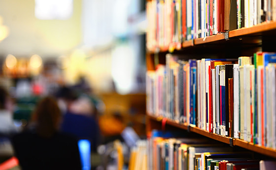 © shutterstock.com/connel