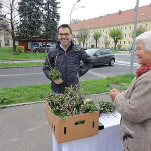 Pfarre am Wochenmarkt
