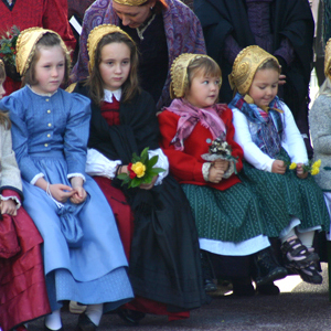 Goldhaubengruppe Hörsching