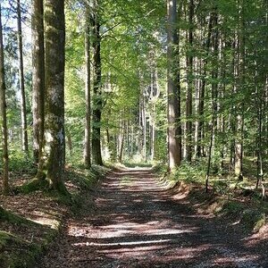 St. Radegund