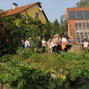 Ausflug der kfb 2014