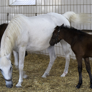 Pilgerreise Stmk - Tag 2