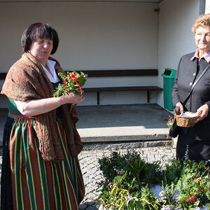 Palmweihe und Festzug