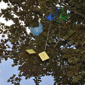 Pfarrzentrum Eröffnungsfest 