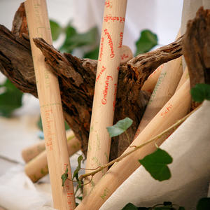 Firmvorbereitung 2017