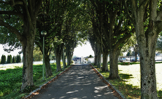 Friedhof