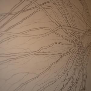 Kreuzwegandacht am Tannberg