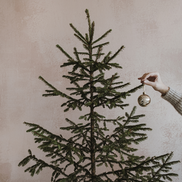 Jemand hängt eine Kugel an den Christbaum