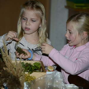 Auf den Spuren von Franz von Assisi