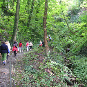 Pilgerweg in Würzburg