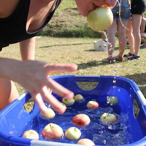 Jungschar- und Ministrantenlager in Roßleiten