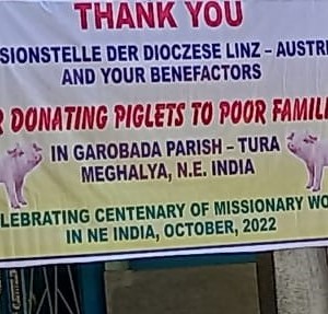 Der Dank an Linz ist groß