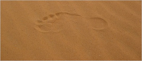 Was uns in Krisen stärken kann