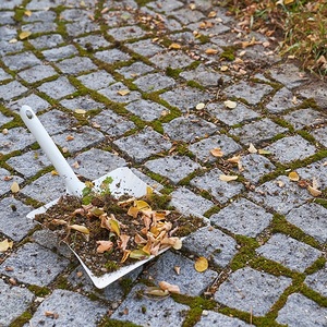 Großeinsatz in der Kirche und rundherum