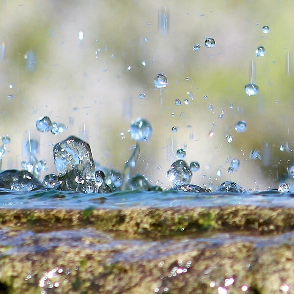 Senior:innen in Berg