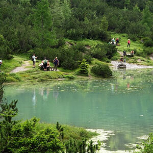 Vorarlbergreise der Kokuwawis