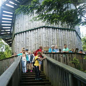 Baumkronenweg - Ikuna Naturressort