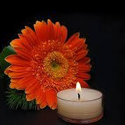 Teelicht vor Gerberer