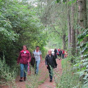 Sternwanderung 2017, Pfarre Neumarkt im Mühlkreis