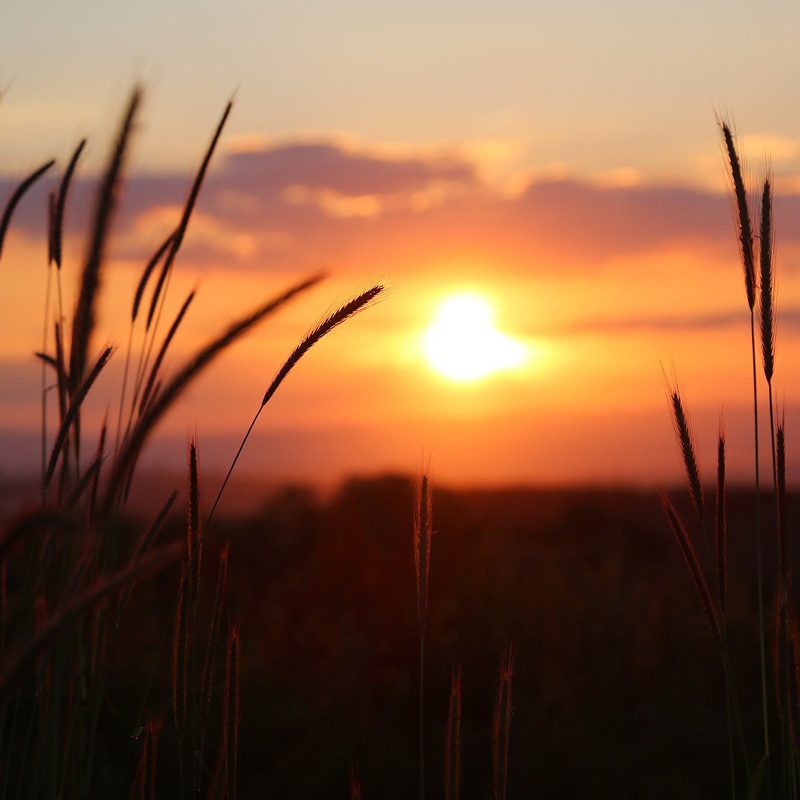 Sonnenuntergang