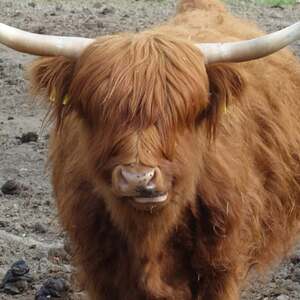 meditative Pilgerwanderung 28.4.18