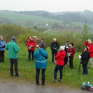 Pilgerwanderung 2017